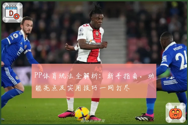 PP体育玩法全解析：新手指南、功能亮点及实用技巧一网打尽