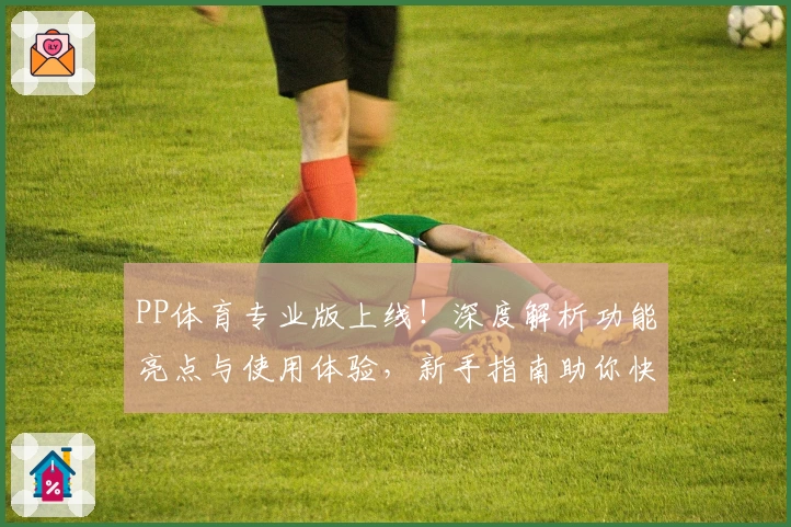 PP体育专业版上线！深度解析功能亮点与使用体验，新手指南助你快速上手