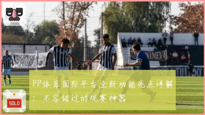 PP体育国际平台全新功能亮点详解：不容错过的观赛神器